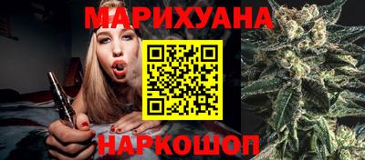 мяу мяу мука Аргун
