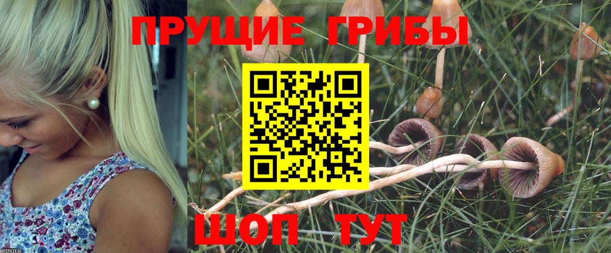 Галлюциногенные грибы ЛСД  Вход с VPN  Будённовск 