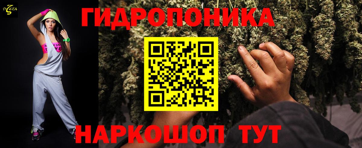 Бошки марихуана конопля  Вход с VPN  Марихуана конопля  Каннабис Bruce Banner  Будённовск 